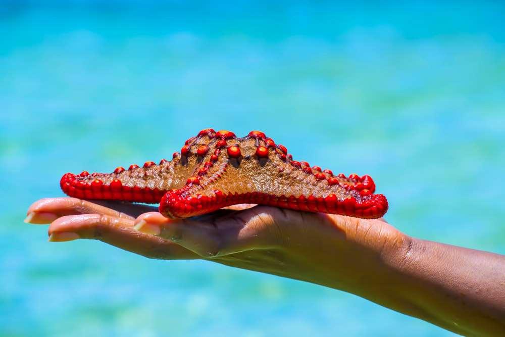 Mombasa Beach Hotel Wyposażenia zdjęcie